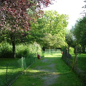 General View at Heppenheim, 05/09/10