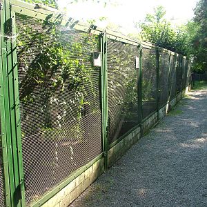 Aviaries at Heppenheim, 05/09/10