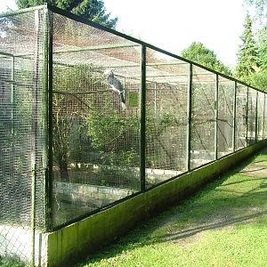 Aviaries at Heppenheim, 05/09/10