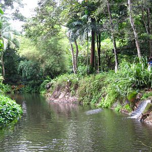 Primate Kingdom - Landscaping