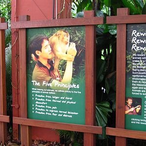 Justifying Animal Shows