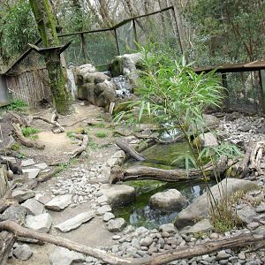 Otter Exhibit