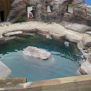 Penguin Exhibit
