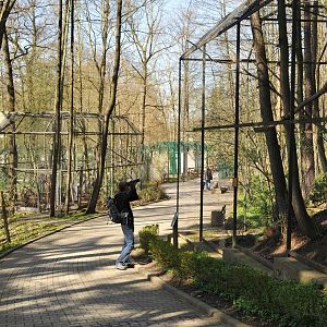 Birds of prey aviaries