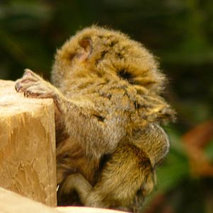 MUM WITH ONE OF THE TWINS.
