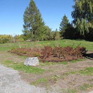 Toronto Zoo - October 16, 2010