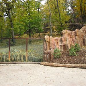 Kamtschatka bear enclosure
