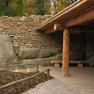 Kamtschatka bear enclosure