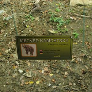 Kamtschatka bear enclosure