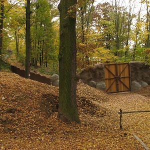 Kamtschatka bear enclosure