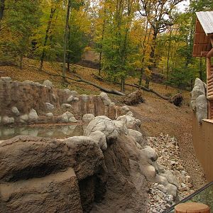 Kamtschatka bear enclosure