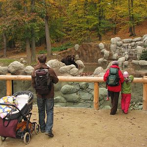 Kamtschatka bear enclosure