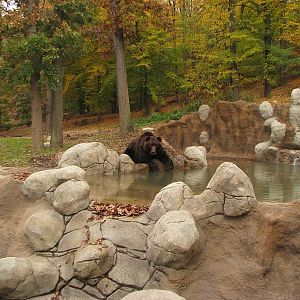 Kamtschatka bear enclosure