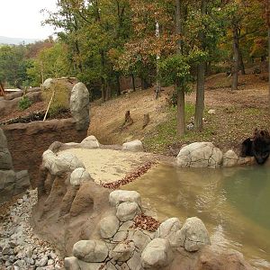 Kamtschatka bear enclosure