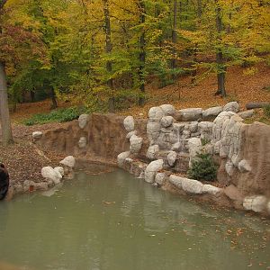 Kamtschatka bear enclosure