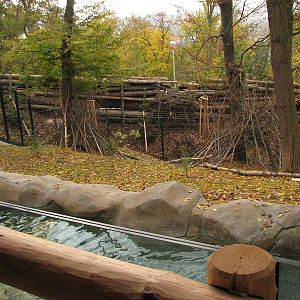 Kamtschatka bear enclosure