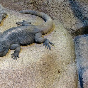 Ecosystems - October 17, 2010