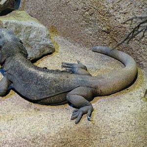 Ecosystems - October 17, 2010