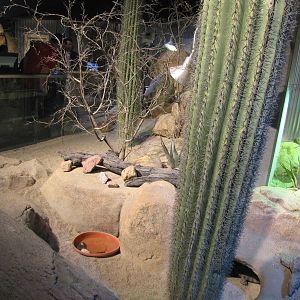 Ecosystems - October 17, 2010