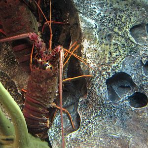 Ecosystems - October 17, 2010