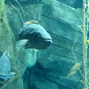 Ecosystems - October 17, 2010