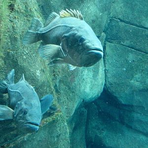 Ecosystems - October 17, 2010