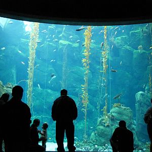 Ecosystems - October 17, 2010