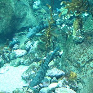 Ecosystems - October 17, 2010