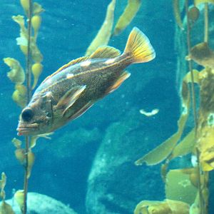 Ecosystems - October 17, 2010