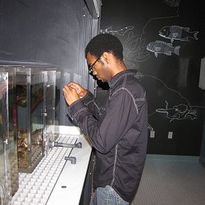 Ecosystems - October 17, 2010