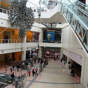 California Science Center - October 17, 2010