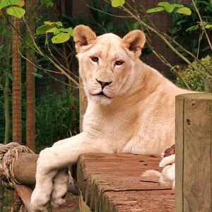 please add species and animals names if known thanks.