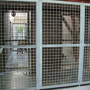 Jaguar's indoor exhibit