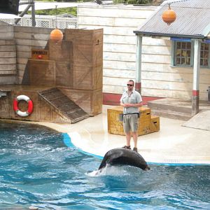 Seal show