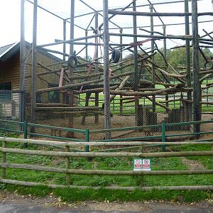 baboon enclosure