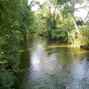 River Parthe at high watermark, September 2010