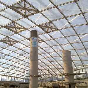 Gondwanaland roof, September 2010