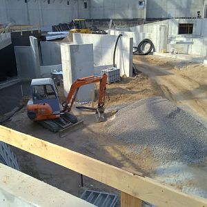 Komodo dragon exhibit, September 2010
