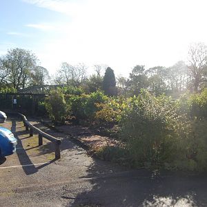 Car Park Aviaries