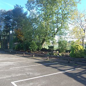 Car Park Aviaries