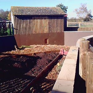 Soon to be Dwarf Mongoose Exhibit