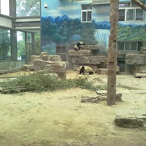 Beijing Zoo