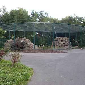 bird of prey enclosure 050910