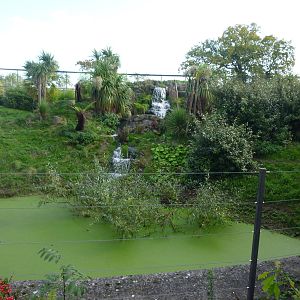 Jaguar enclosure