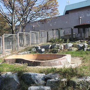 Seoul Zoo - Giant anteater Outdoor exhibit