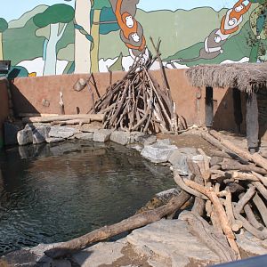 Seoul Zoo - Beaver outdoor exhibit.