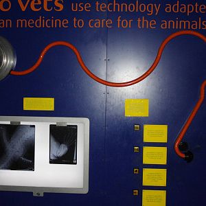 casson inside/outside