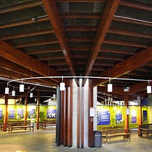 casson inside/outside