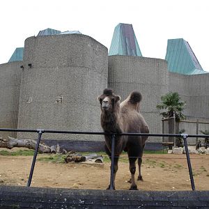 casson inside/outside