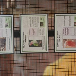 Signage at Australian Exhibit